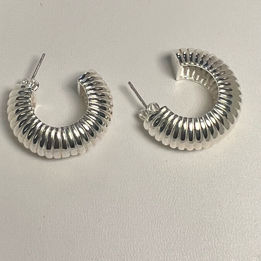 Silver Hoop Earrings